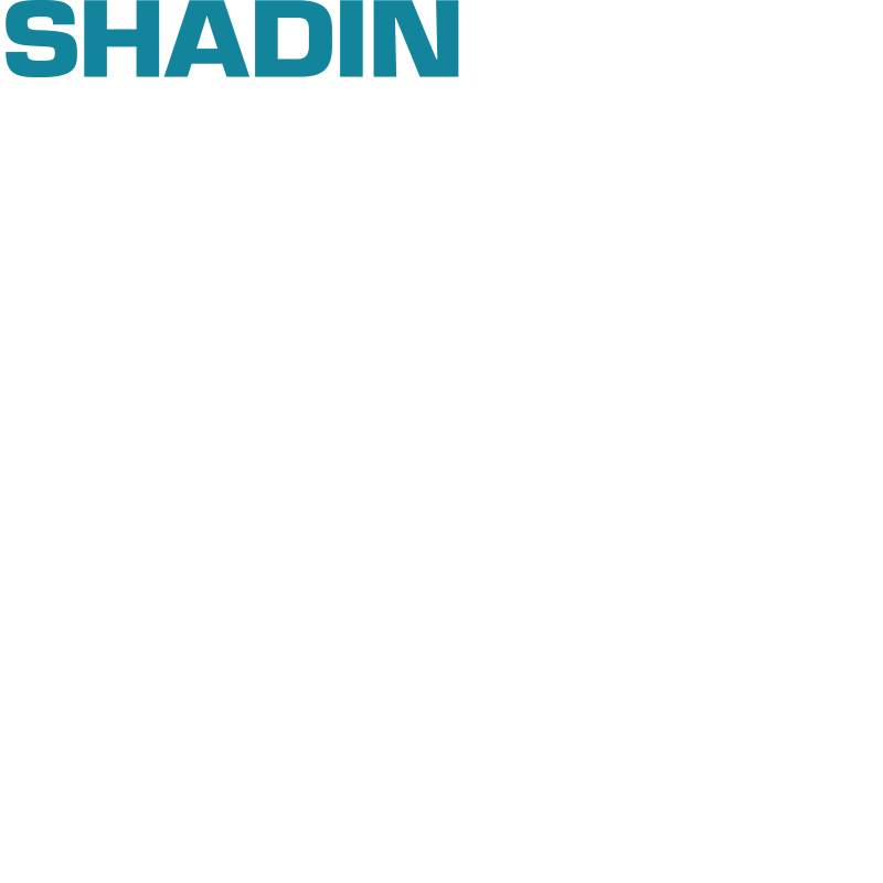 Shadin