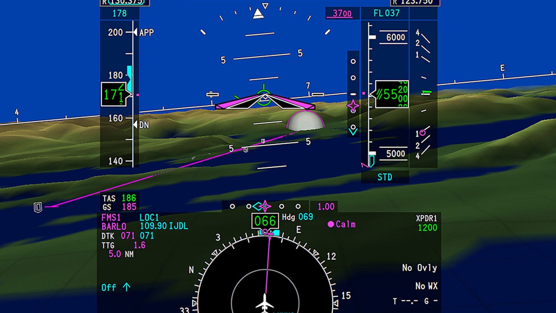 Avionics SVS dashview