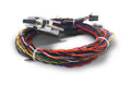 Dynon Avionics Aircraft Parts & Accessories SV-HARNESS-D37 Display Harness with Aircraft Grade Tefzel(R)  Wiring 101231-000 SV-HARNESS-D37 Display Harness with Aircraft Grade Tefzel(R)  Wiring