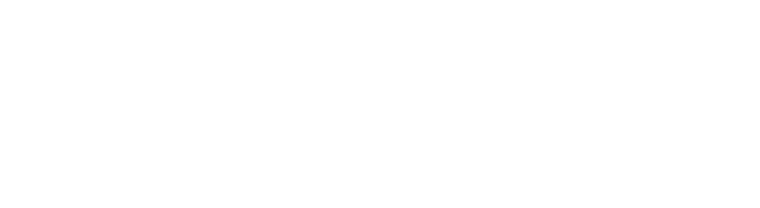 Guardian by Nighthawk Flight Systems